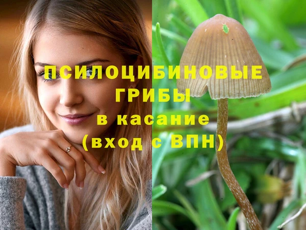 бутират Аркадак