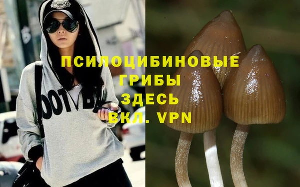 бутират Аркадак