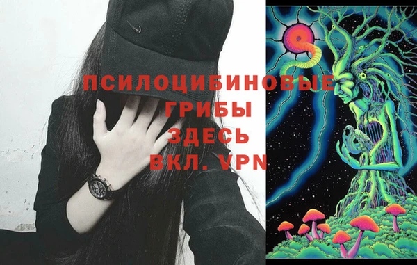 соль ск Арсеньев